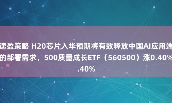 速盈策略 H20芯片入华预期将有效释放中国AI应用端的部署需求，500质量成长ETF（560500）涨0.40%