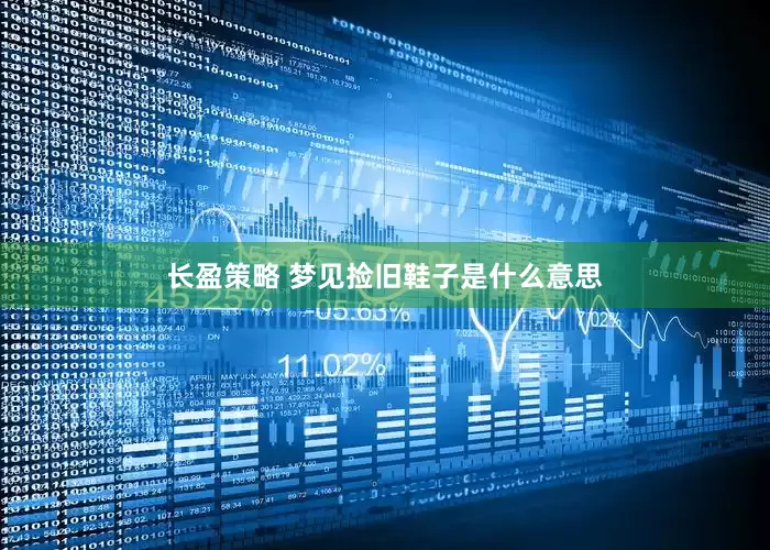 长盈策略 梦见捡旧鞋子是什么意思
