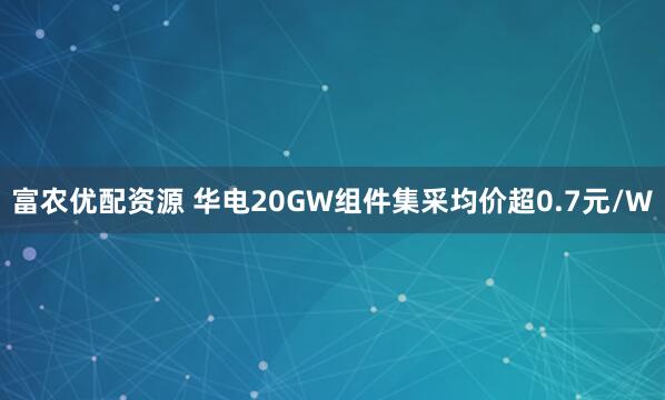 富农优配资源 华电20GW组件集采均价超0.7元/W